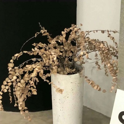 兽设背景场景绘制兽圈社群